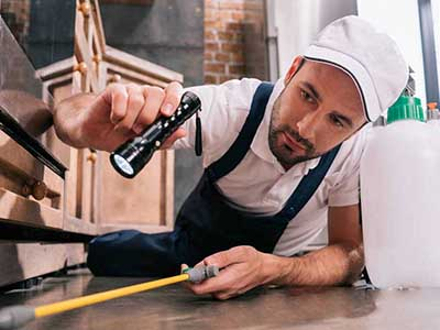 西安美易达害虫防治公司对“杀”和“防”虫的思考