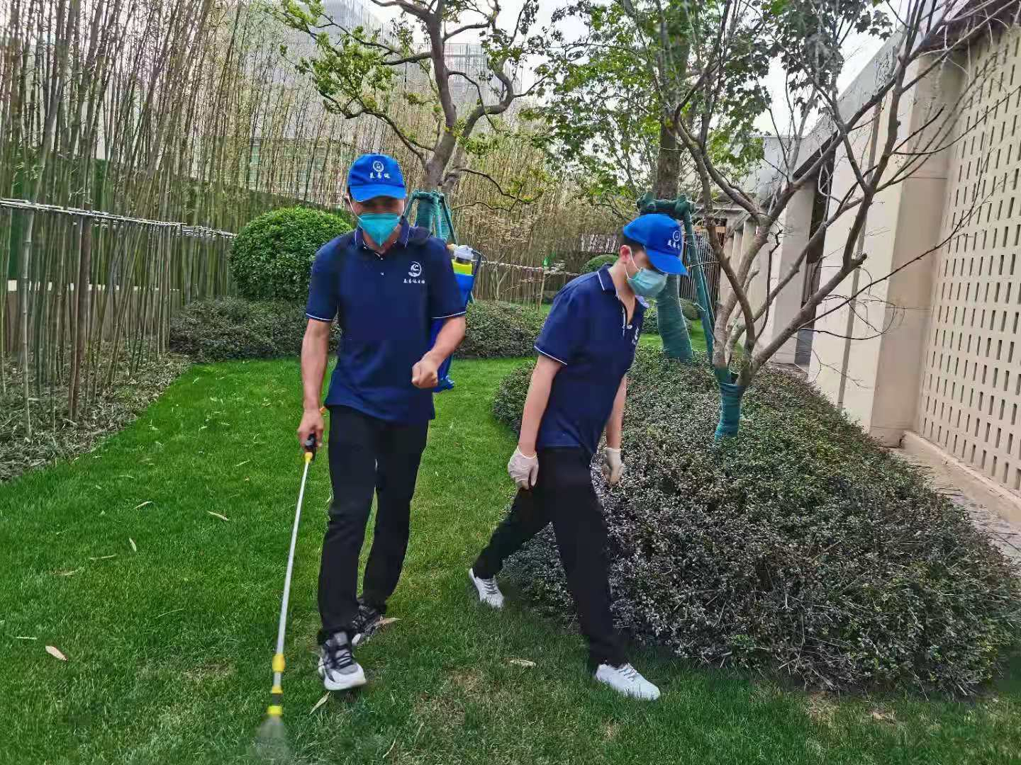 西安园林消杀行动，清除害虫带来的安全隐患