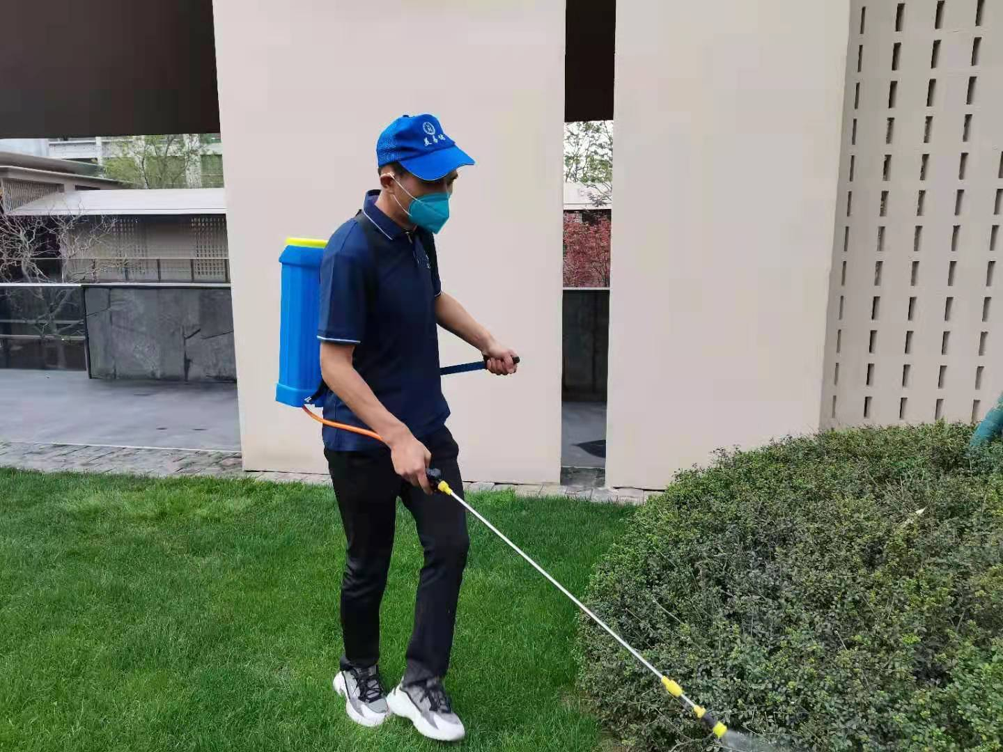 西安消杀公司把传统白蚁防治可分为以下几类