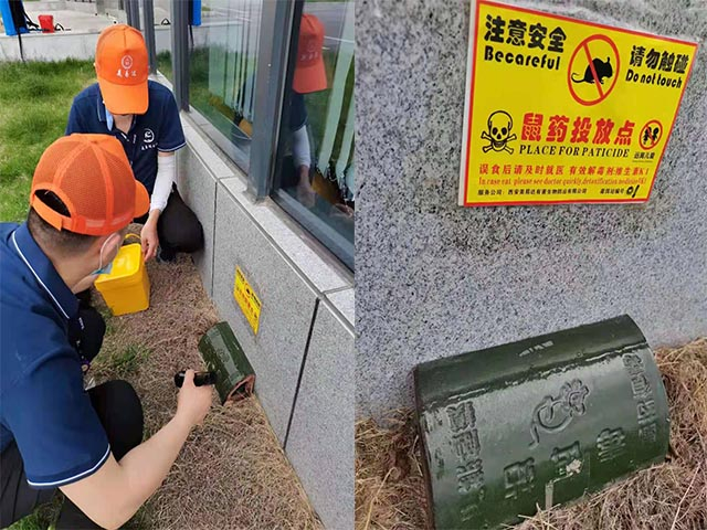 西安别墅消杀公司除四害需要注意的事项