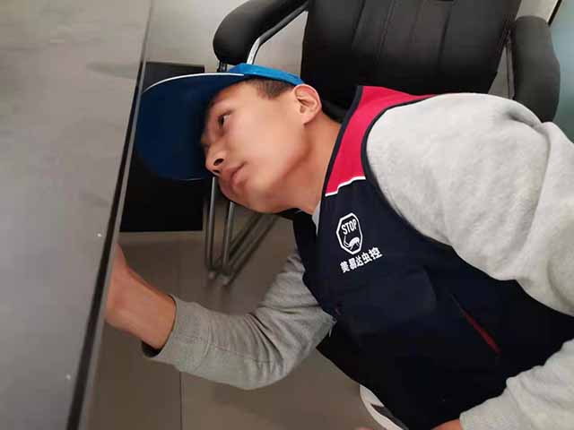 在西安如何有效的快速的消灭臭虫呢？