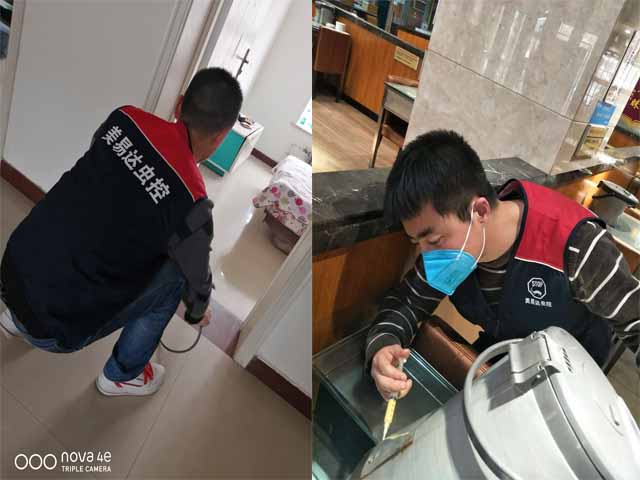 西安灭蟑螂 (3).jpg