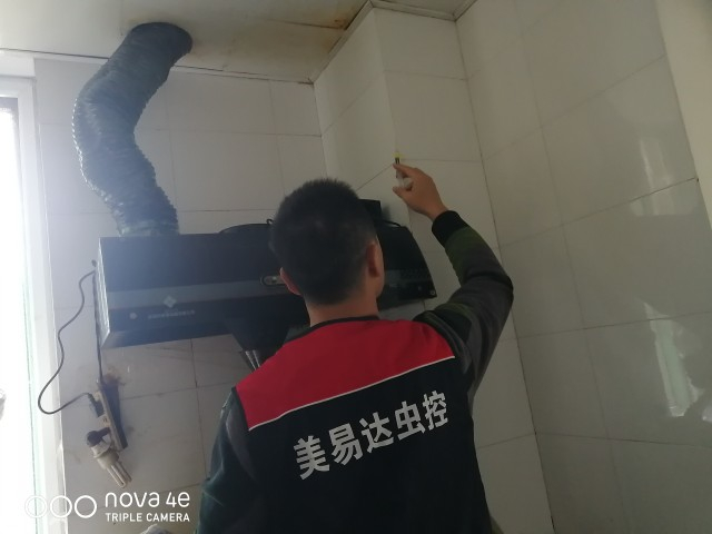 在农村家庭农村，该怎么防治老鼠，西安灭鼠公司咋去除鼠患