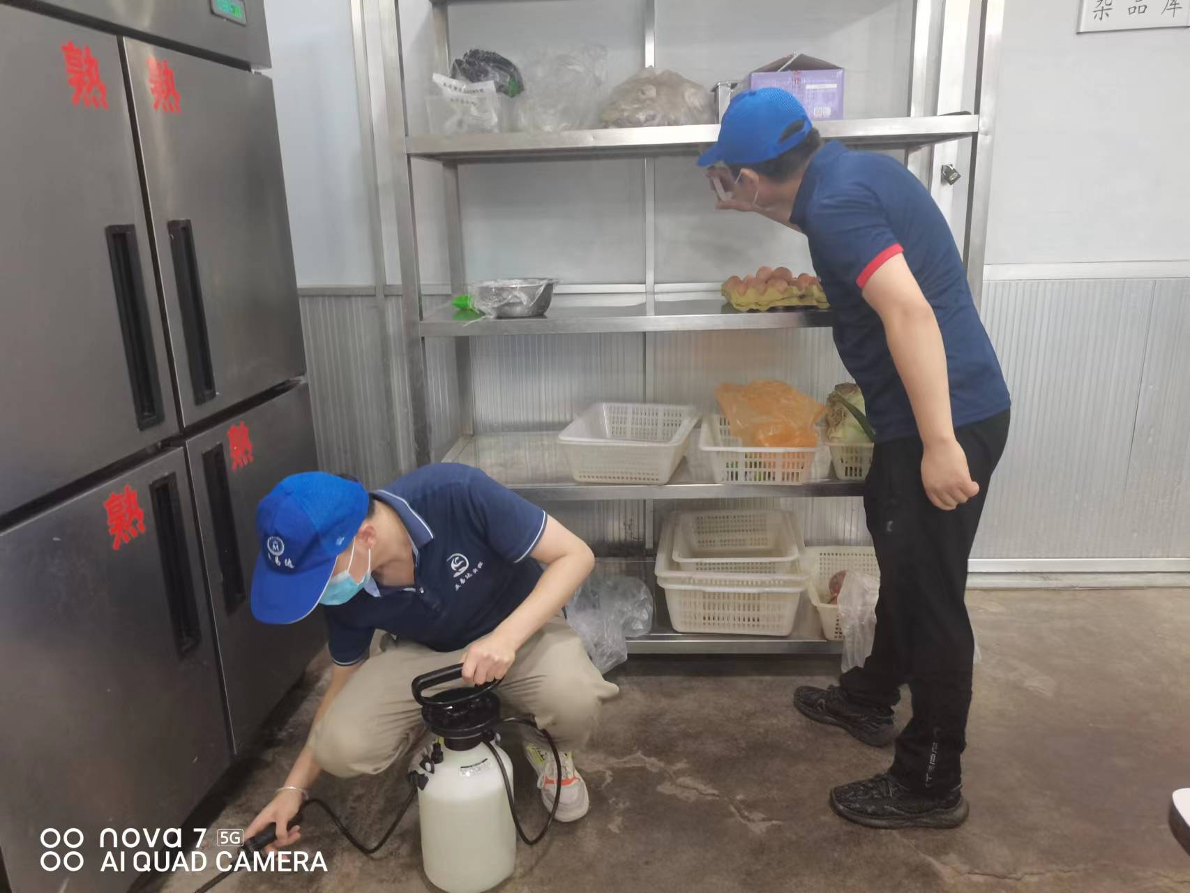 西安消杀公司说说家里厨房粮食生虫了该怎么办